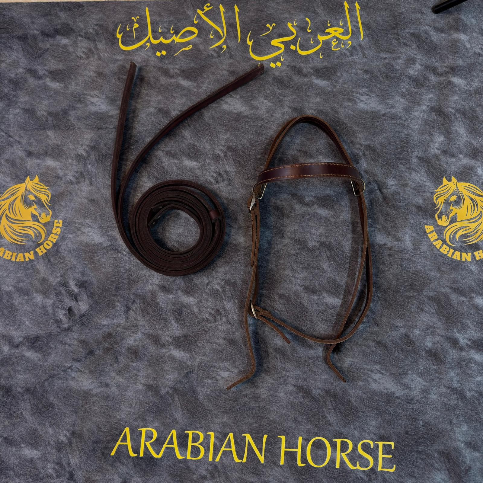 راسية مع صروعة(سحبات)