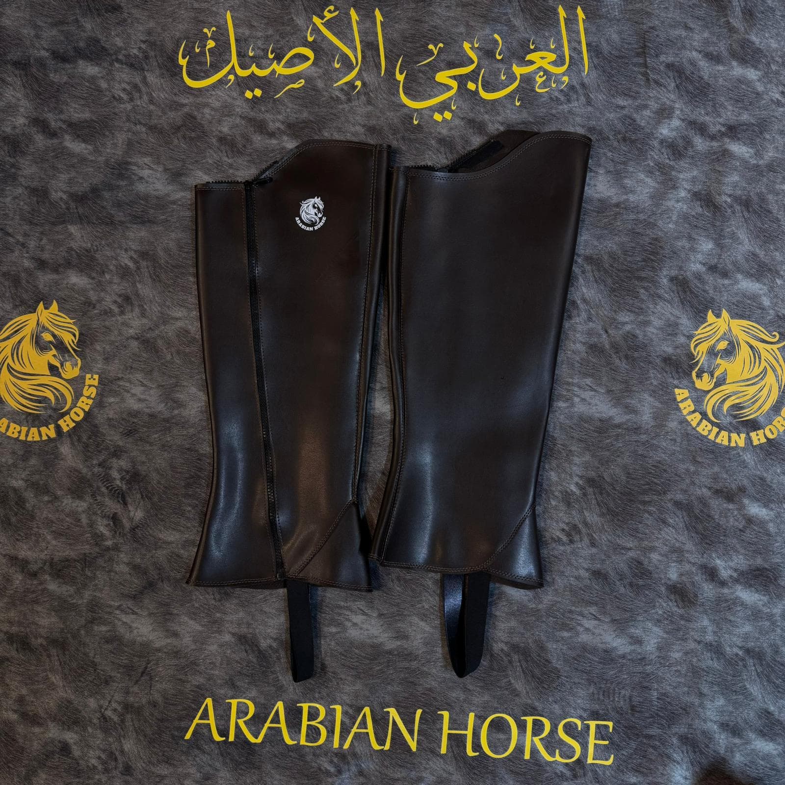 تشابس للفرسان